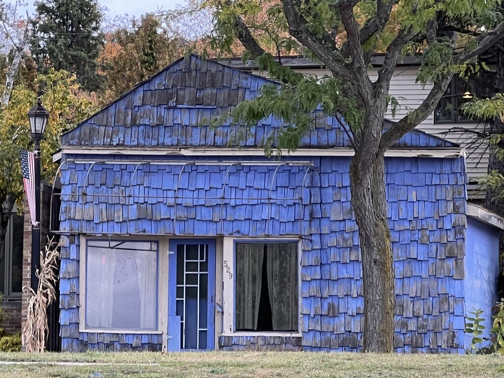 blue house by amyk