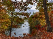 19th Oct 2023 - Autumn near Hodenpyl Dam