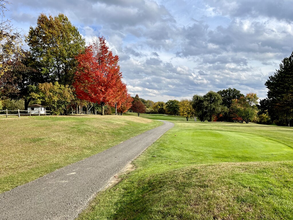 #2 at the Moon Golf Club by pej76