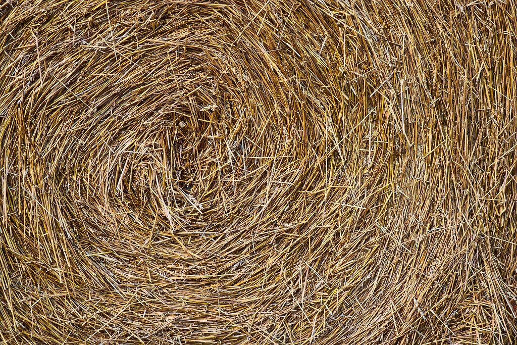 Bale of straw by okvalle