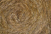 20th Oct 2023 - Bale of straw