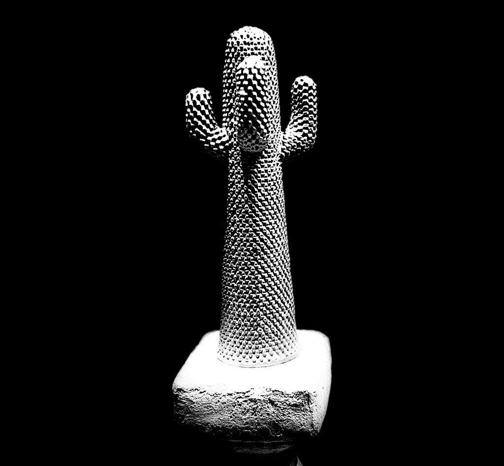 Still Cactus (20) by rensala
