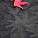 Leaf Stains by stephomy