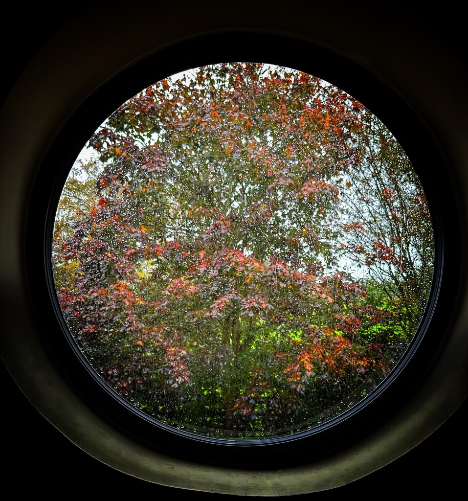 Autumn through the round window  by wendystout