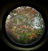 20th Oct 2023 - Autumn through the round window 