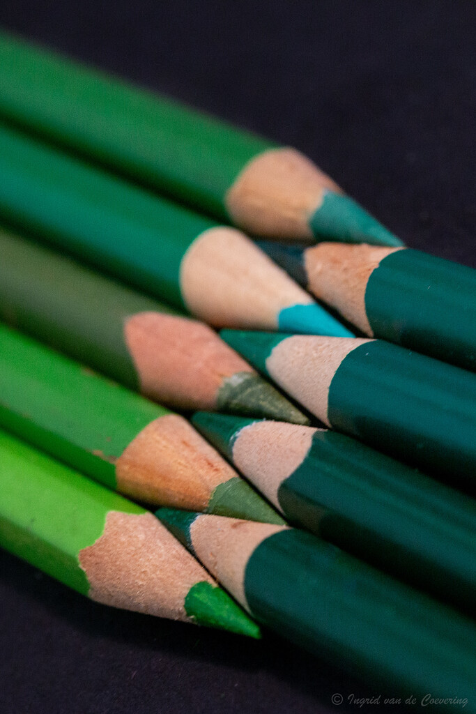 Green pencils by ingrid01