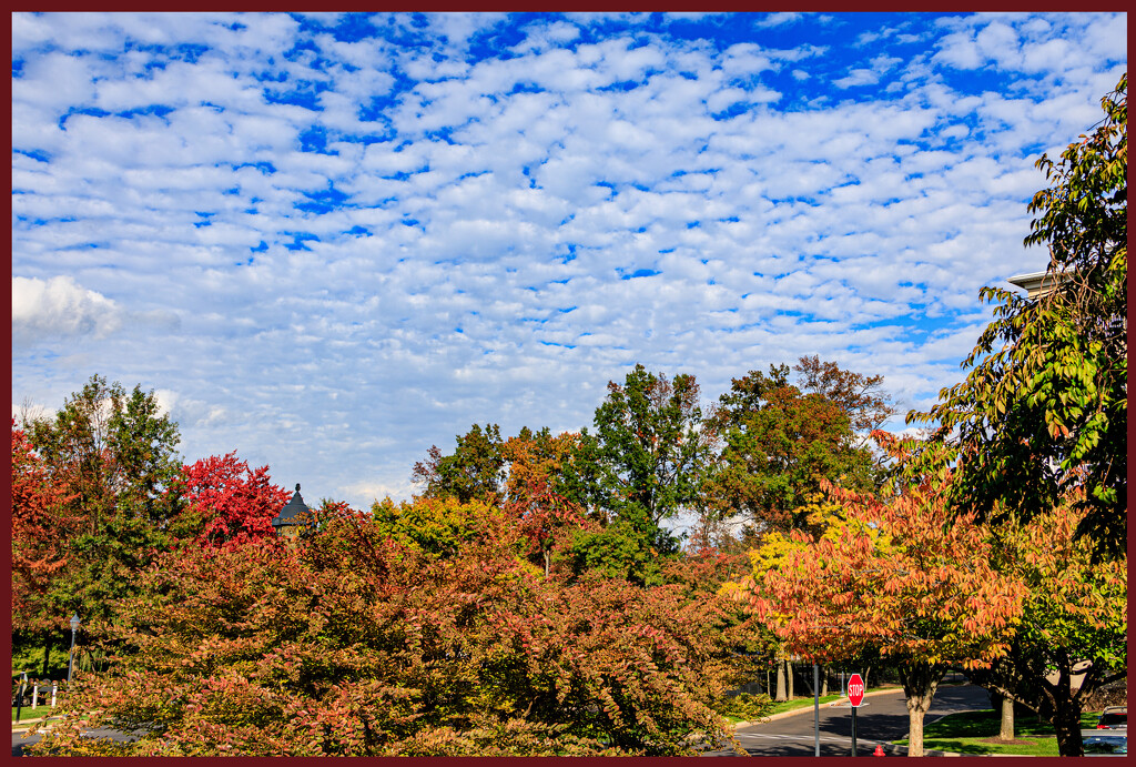 Fall Foliage, Sky and Clouds by hjbenson