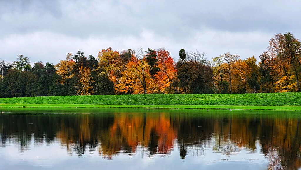 Fall at the duck pond by ljmanning
