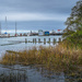 Steveston Harbour by cdcook48