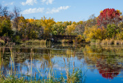 21st Oct 2023 - Pond and Bridge