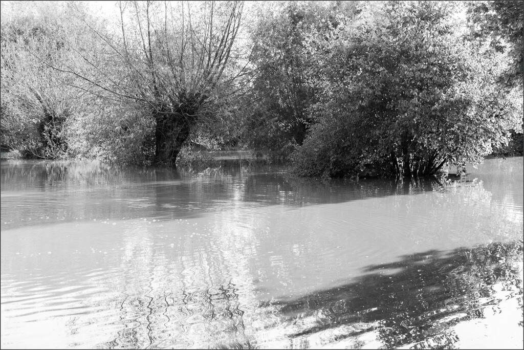 21 - Flooded River Severn 2023 by marshwader