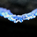 Rain drops on a blue washing line........917 by neil_ge