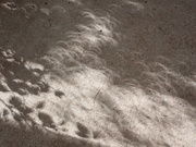14th Oct 2023 - Annular eclipse shadows on my patio 1/2