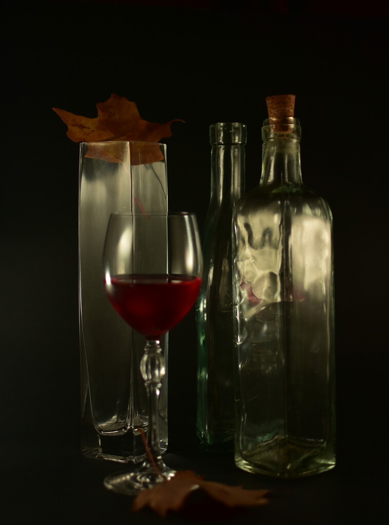 Glass and Wine by jayberg