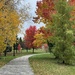 Fall Colours by radiogirl