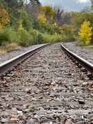 21st Oct 2023 - Colors on the railroad track