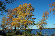 21st Oct 2023 - Fall at the lake