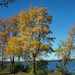 Fall at the lake by larrysphotos