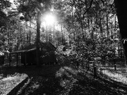 22nd Oct 2023 - Morning sun over the old tool and tack shed...