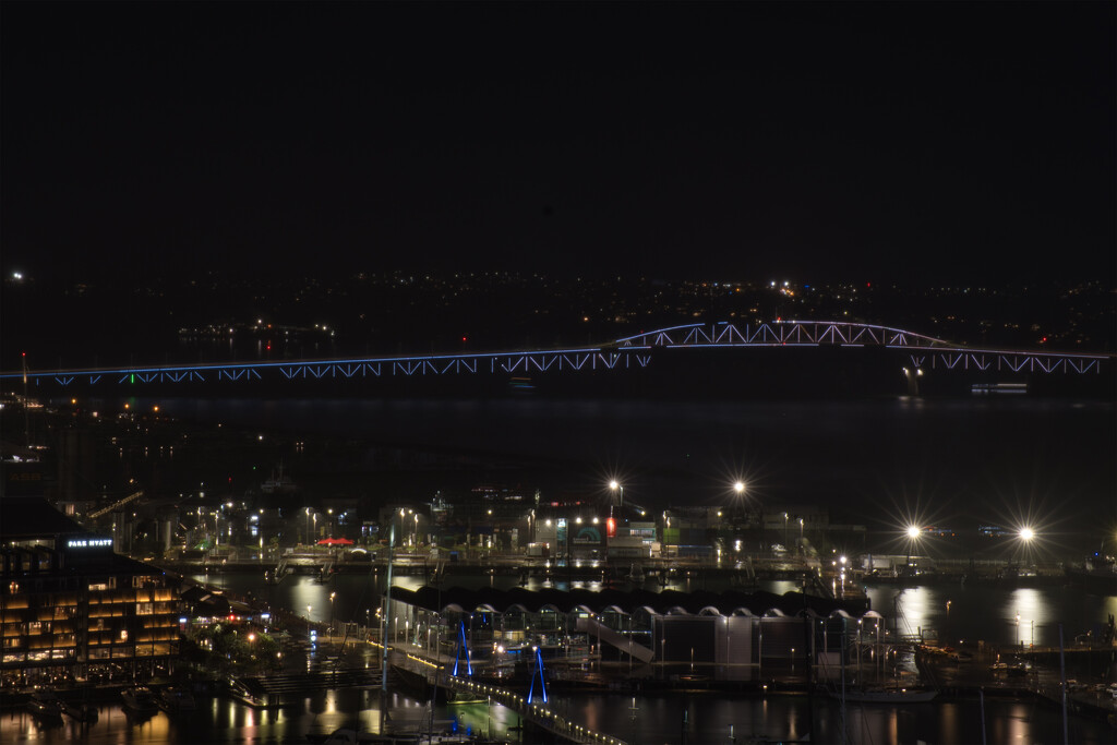 City lights and the harbour bridge by dkbarnett