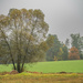 Autumn in the fields by haskar