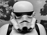 22nd Oct 2023 - Storm Trooper