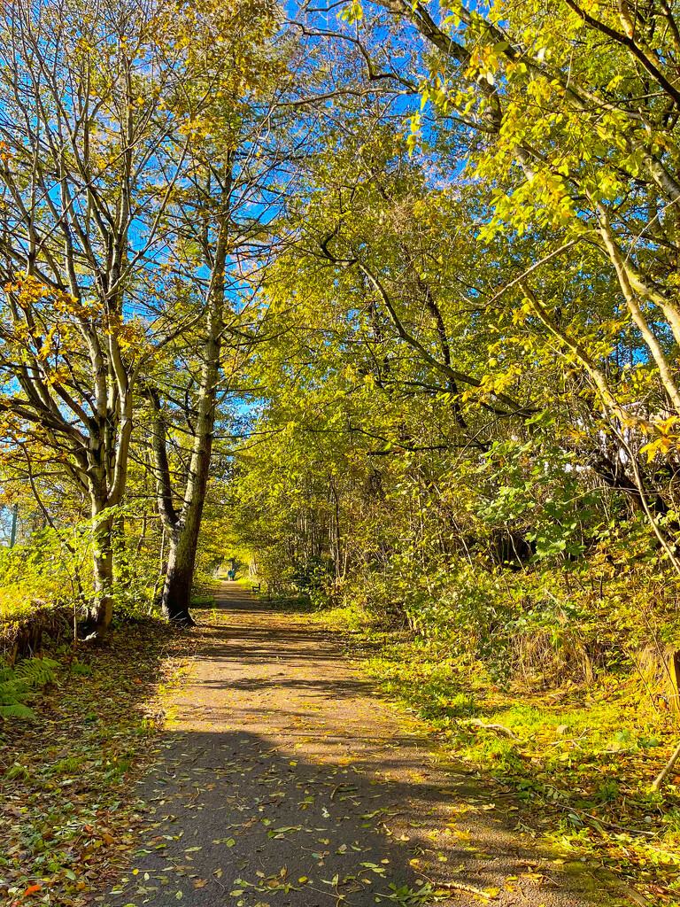 Old Deeside Line by lifeat60degrees