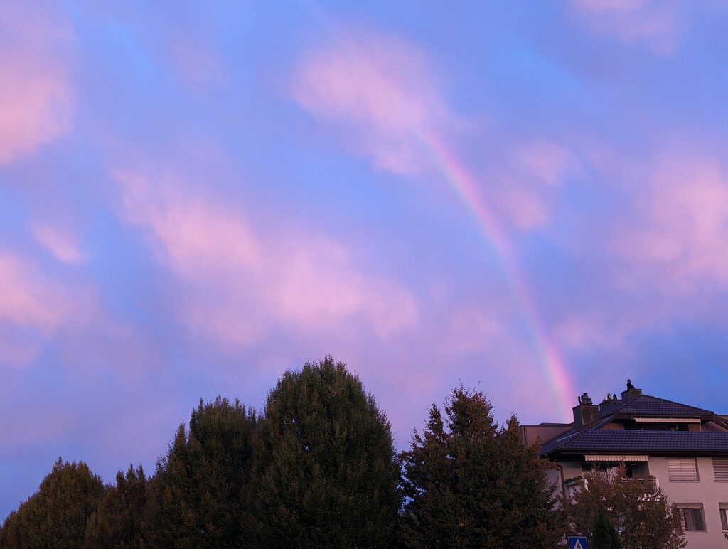 Evening Rainbow  by kathybc