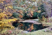 22nd Oct 2023 - Pittsford Pond