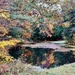 Pittsford Pond by corinnec