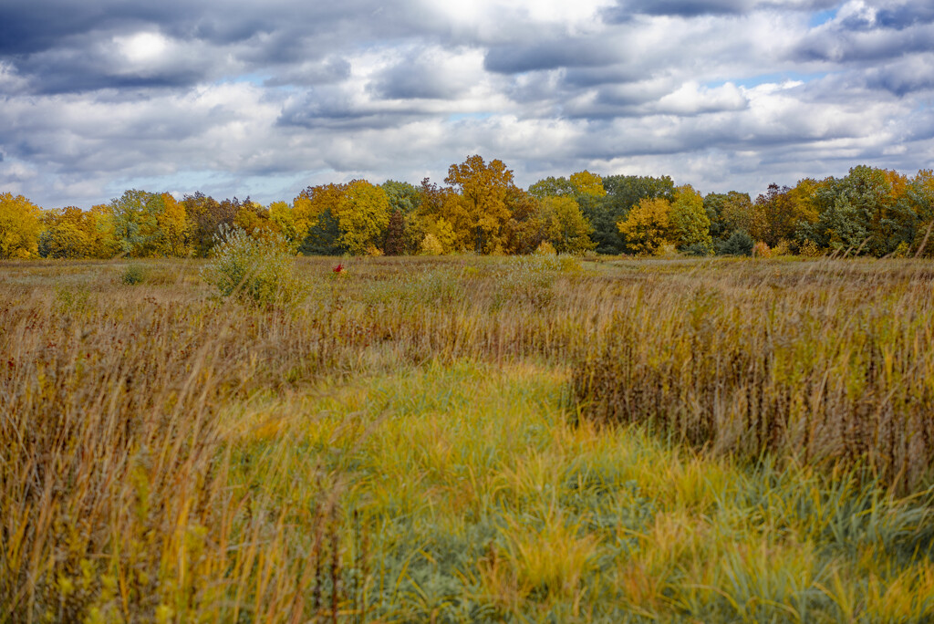 Autumn prairie by rminer