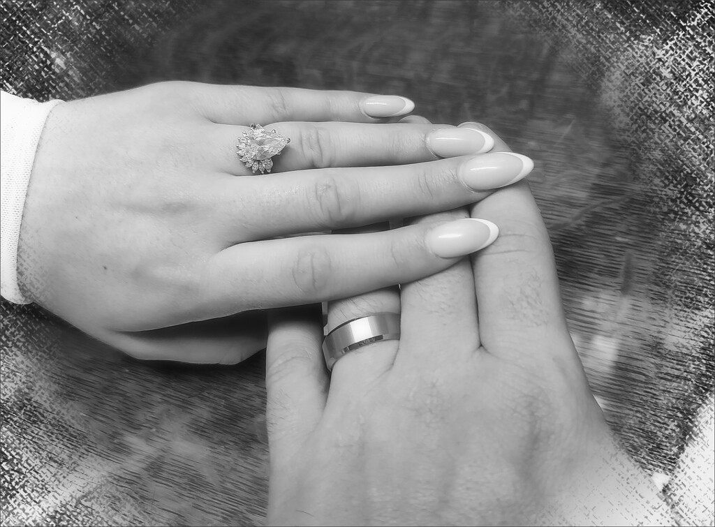 Wedding Rings by olivetreeann