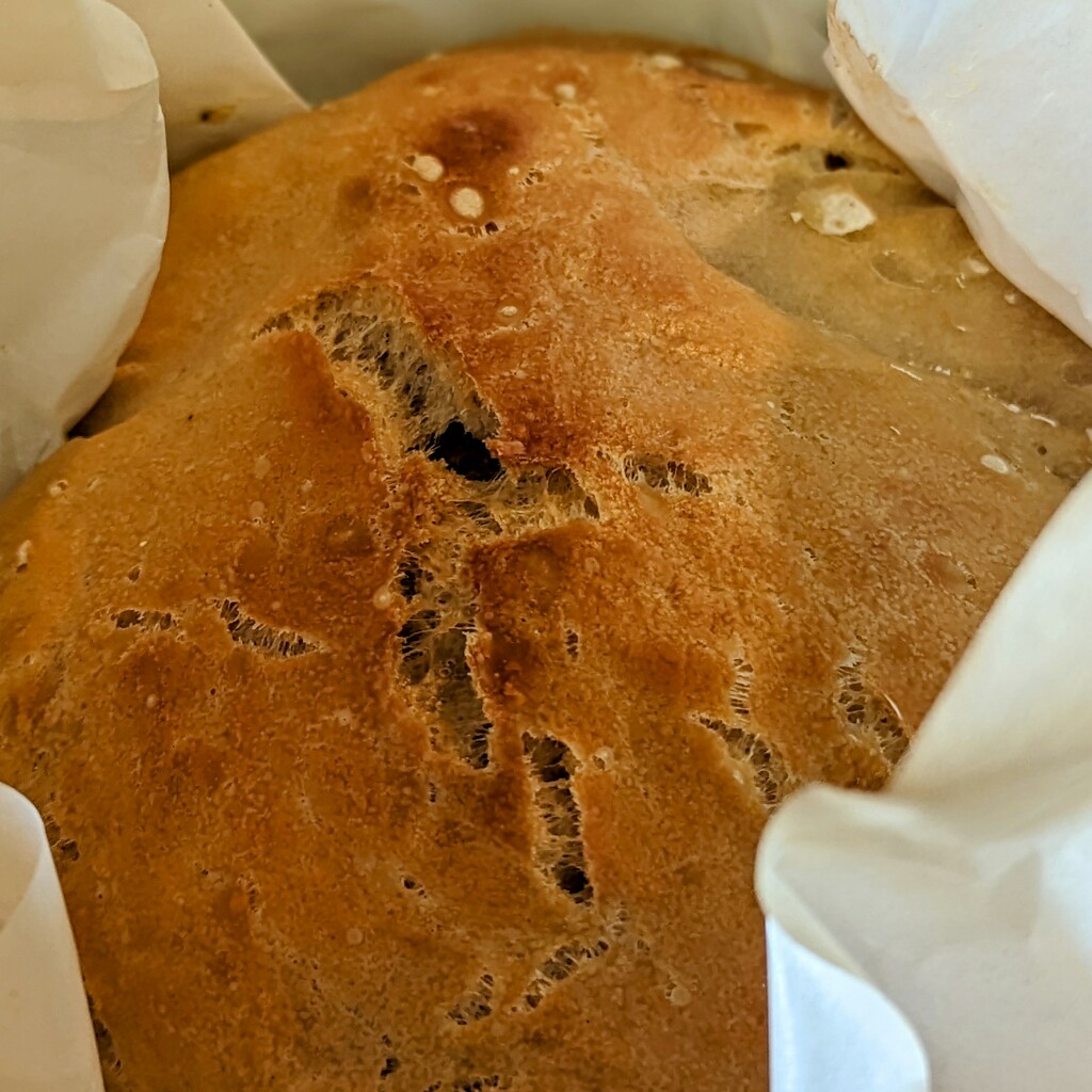 Artisan Bread Debut by elf