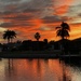 Good Morning from Florida! by beckyk365