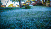 23rd Oct 2023 - First Frost