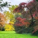 Autumn Beauty ttcms by carole_sandford
