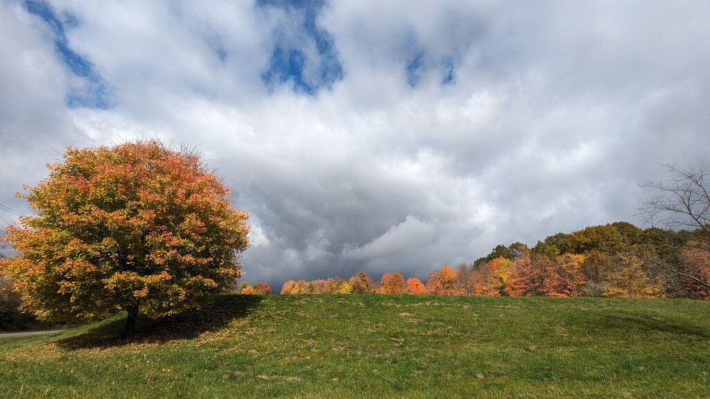 Glorious Fall by julie