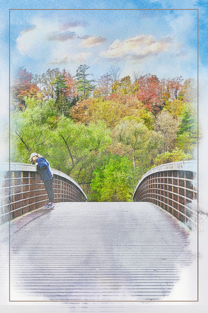 The Bridge into Fall by gardencat