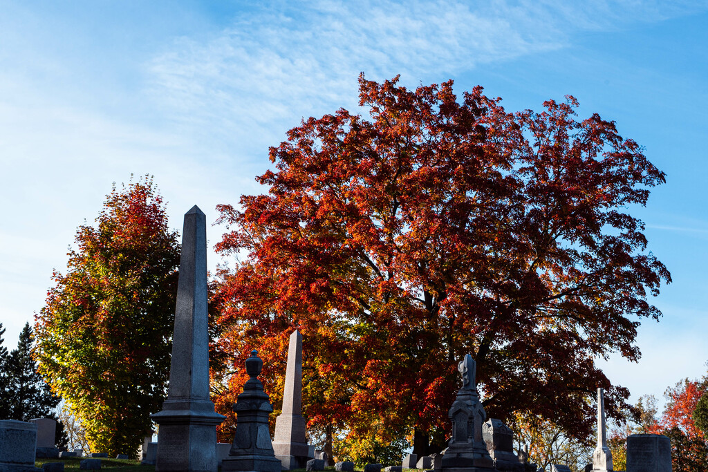 Autumnal cemetery by darchibald