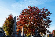 23rd Oct 2023 - Autumnal cemetery