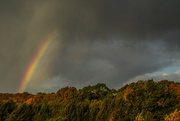23rd Oct 2023 - Autumn Rainbow