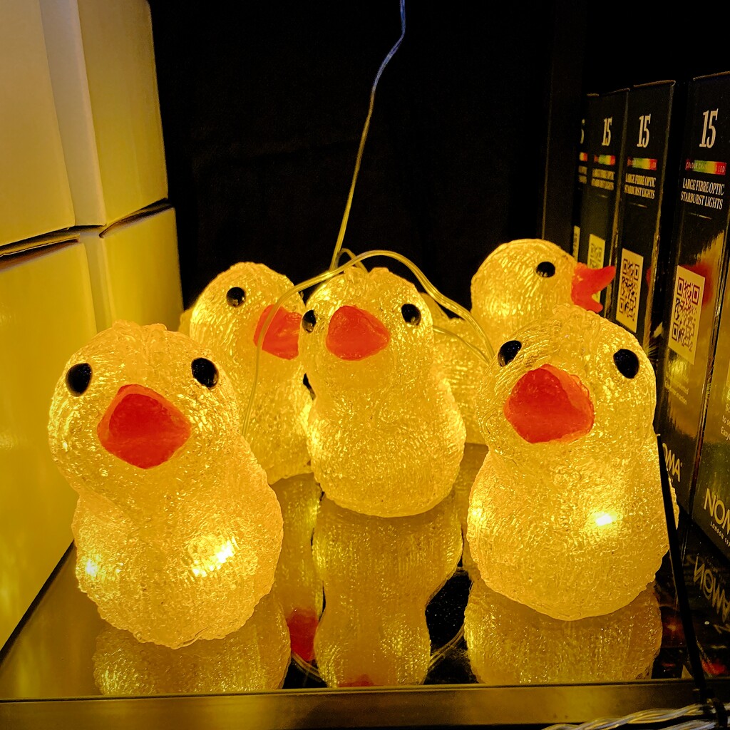 Five little ducks waiting for Christmas by allsop