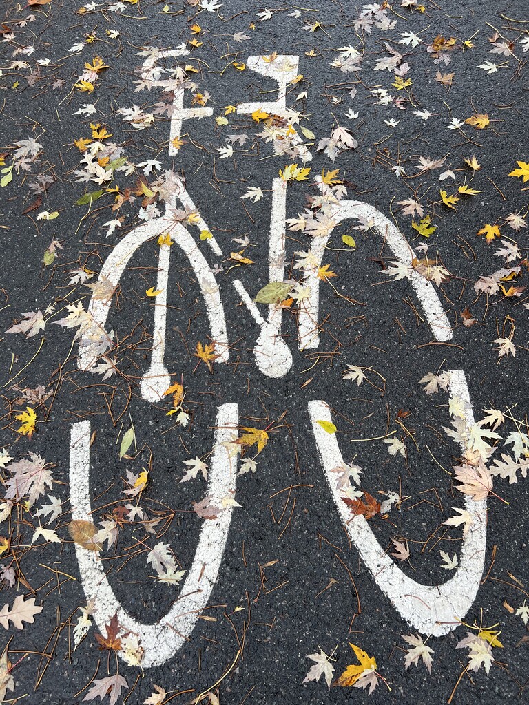 Fall Biking by radiogirl