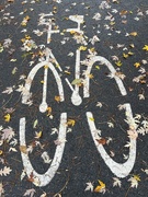 23rd Oct 2023 - Fall Biking
