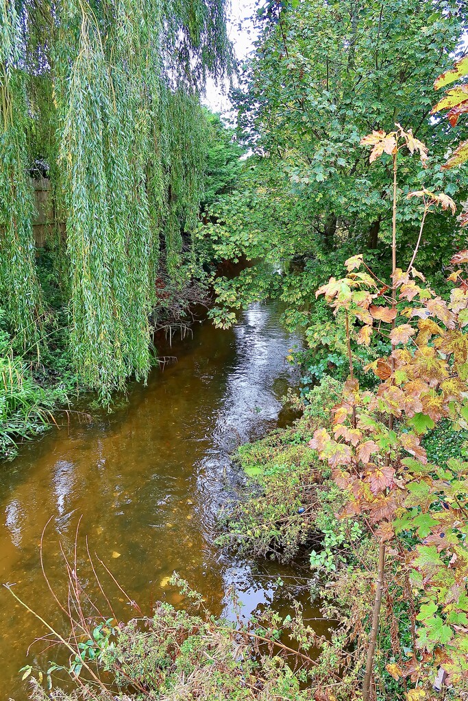 Tails of the riverbank……..920 by neil_ge