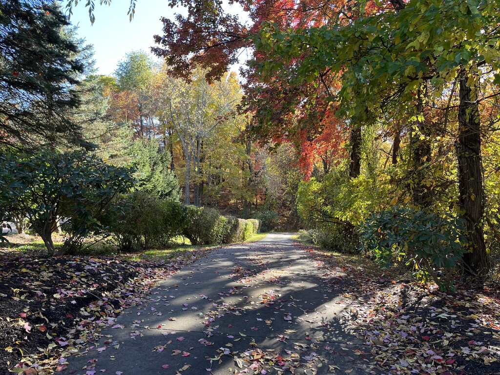 Private Driveway by pej76