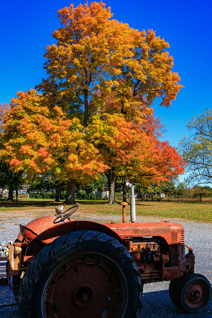 Fall in Bethel PA by hjbenson