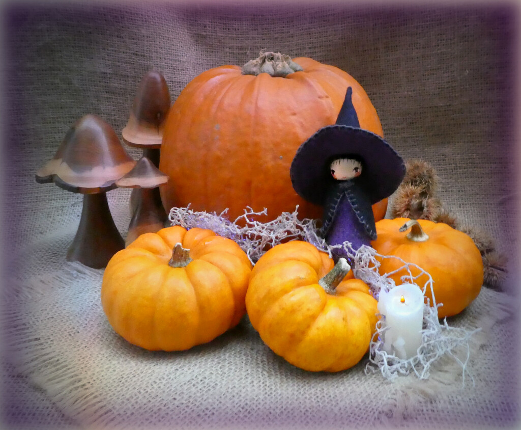 Pumpkin and Munchkins  by wendyfrost