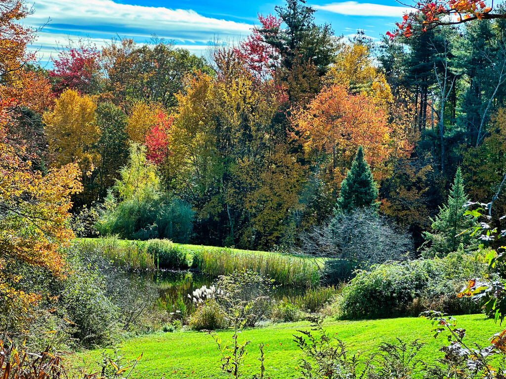 Fall foliage scene by joansmor
