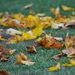 Soon To Be Blanketed With Snow...